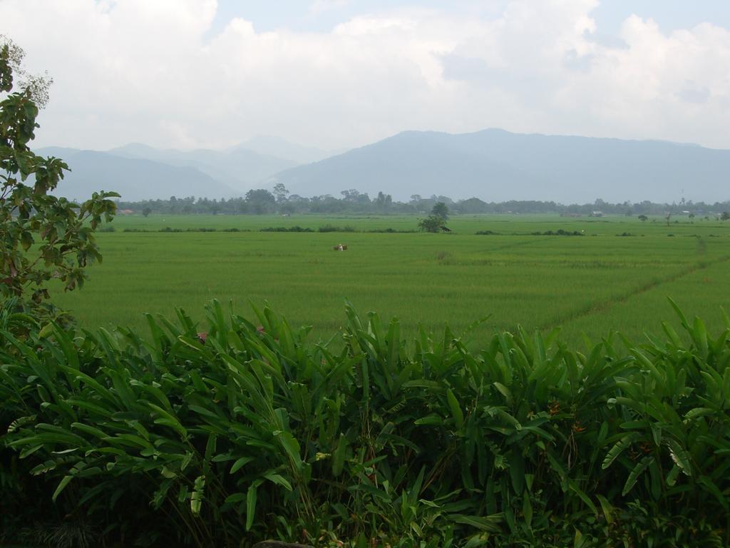 Rico Resort Chiang Kham Exterior photo
